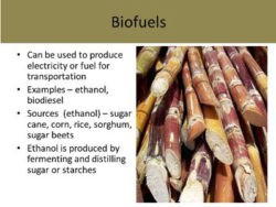 biomass website slide