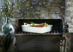 Pillivuyt Ulysses grill& stove top series