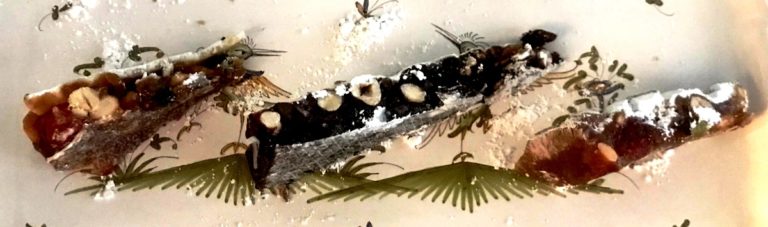 three panforte slices: traditional, chocolate margherita