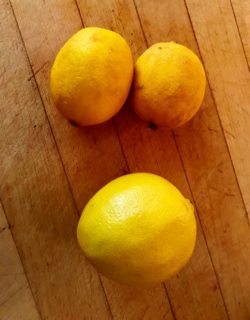 sacred lemons