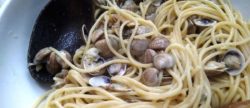 Spagetti with clams in Bologna