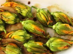 marinated stuffed zucchini blossoms - one of many delicious zucchini blossom recipes