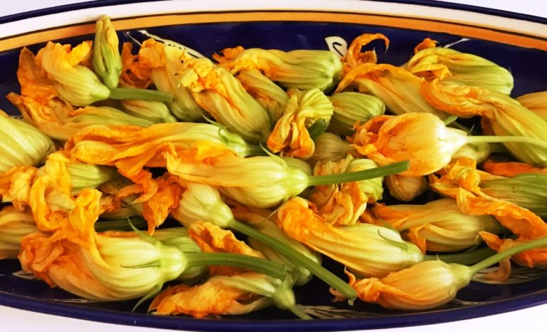 fresh zucchini blossoms, both sexes