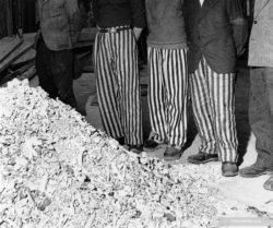 Copyright_LeeMillerArchives_Released_prisoners_in_striped_prison_dress_beside_a_heap_of_bones_from_bodies_burned_in_the_crematorium_Buchenwald_Germany_1945.jpg
