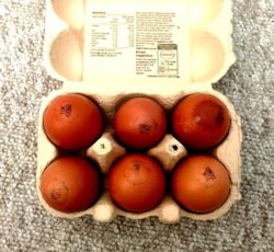 Burford Brown eggs at Winchester UK market