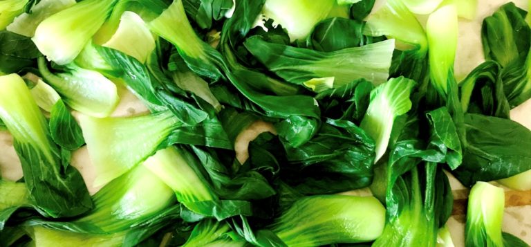 Bok Choy prep for David Tanis Market Cooking