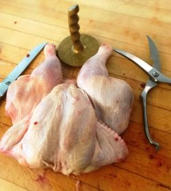 spatchchcock chicken 1