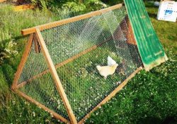 27-DIY-Chicken-Tractor-Plans-Your-Birds-Will-Cluck-About-FI