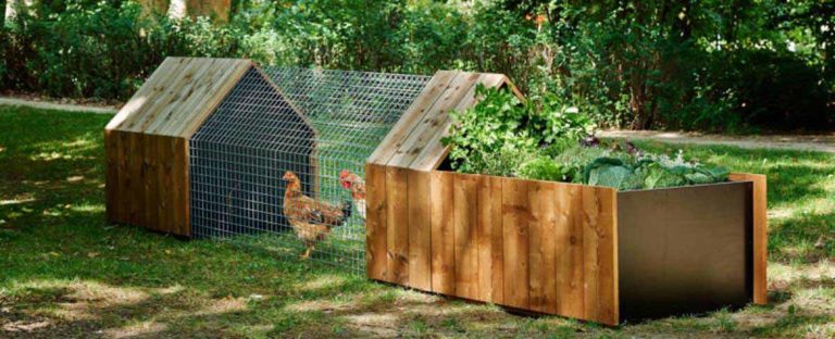 Chicken Coop from Pinterest
