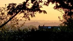 view from the Secret Garden in Winchester UK from Peter Wallis, canning & preserving foods