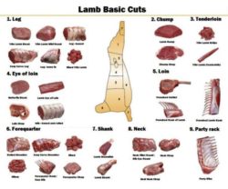 Chart of lamb shanks 
