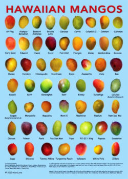 Poster of Hawaiian mangos varieties from tasty island hawaii site