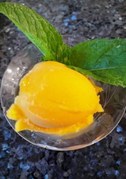 mango sorbet in KD kitchen