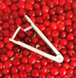 Westmark cherry pitter from KD kitchen