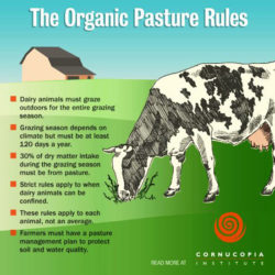 Cornucopia Institute infographic pasture rules