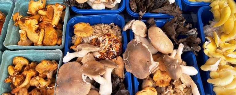 Arlington Va Farmers Market