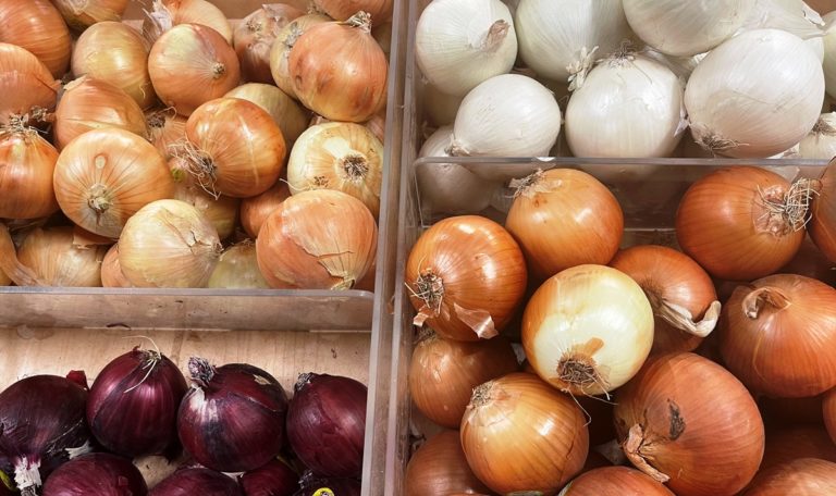 Ode to Onions big shot