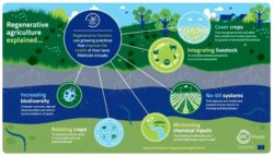 Blog-EIT_Food-Regenerative_Agriculture-Infographic_172