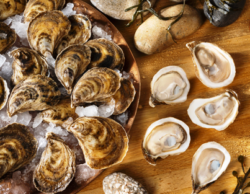 Honeymoon oysters Seafoodia website