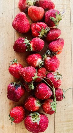 stawberries from farmers market in Alexandria VA