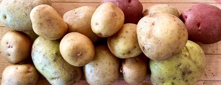 Mr potato head big shot