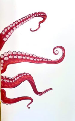 Mas Seafood Octopus mura;