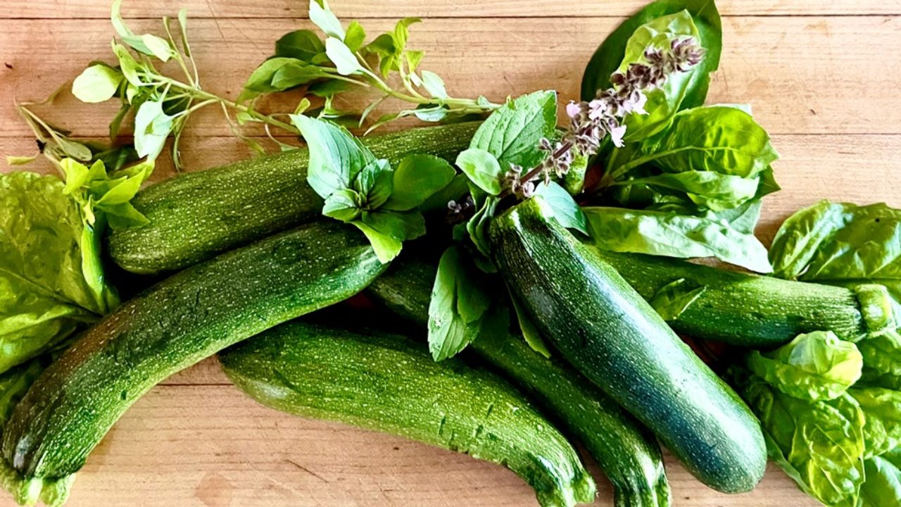 Zucchini Summer: Gifts for Senior Citizens