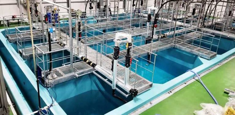 RAS salmon farm