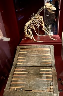 Mary Rose dog and backgammon board