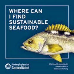Seafood Watch Poster from Monerey Bay Aquarium website