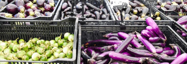 Eggplants_variety_foodwise.org72