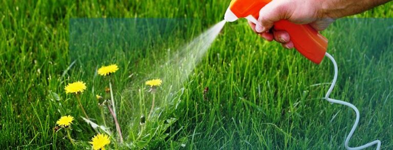 spray image from Wisner Baum law firm website