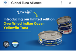 Global Tuna Alliance oferfished tuna can72