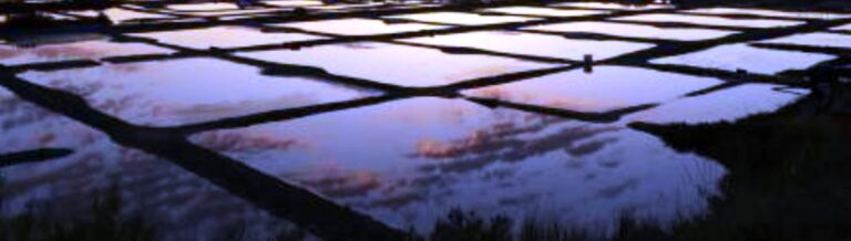 La Baleine salt flats from company website Big shot