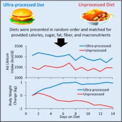 Diets on processed vs unprocessed foods via sciencemoves website