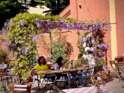 Mercato Ritrovato Cafe wisteria trellis