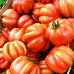 Cuore di bue tomatoes ortitaly website