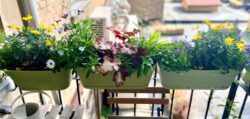 My Italian balcony