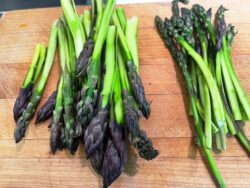 asparagus peeled in KD kitchen