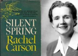 USFnews image Rachel Carson72dpi