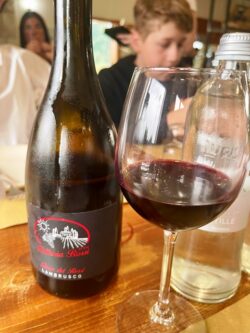 Fattoria Fossi Lambrusco