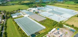 Lea Valley Greenhouse comples Bidwell website