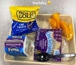 Bad school lunch in US from Bored Panda website