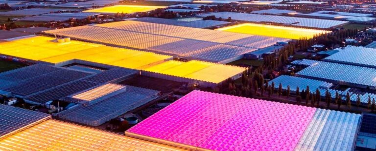 Dutch greenhouses at night, photo by George Steinmetz