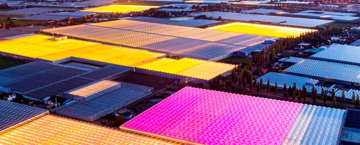 Food For Thought: Produce More With Less – The Netherlands