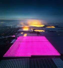 dutch greenhouse dreataiveboom.com72